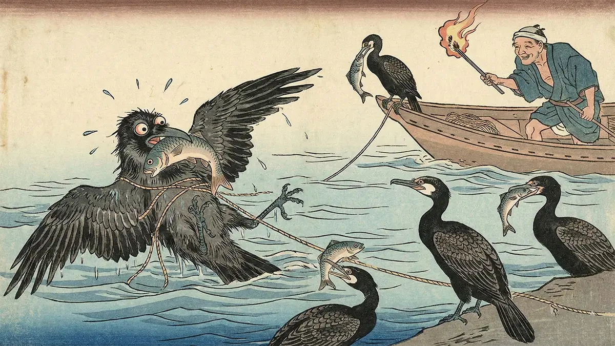 鵜のまねをする烏