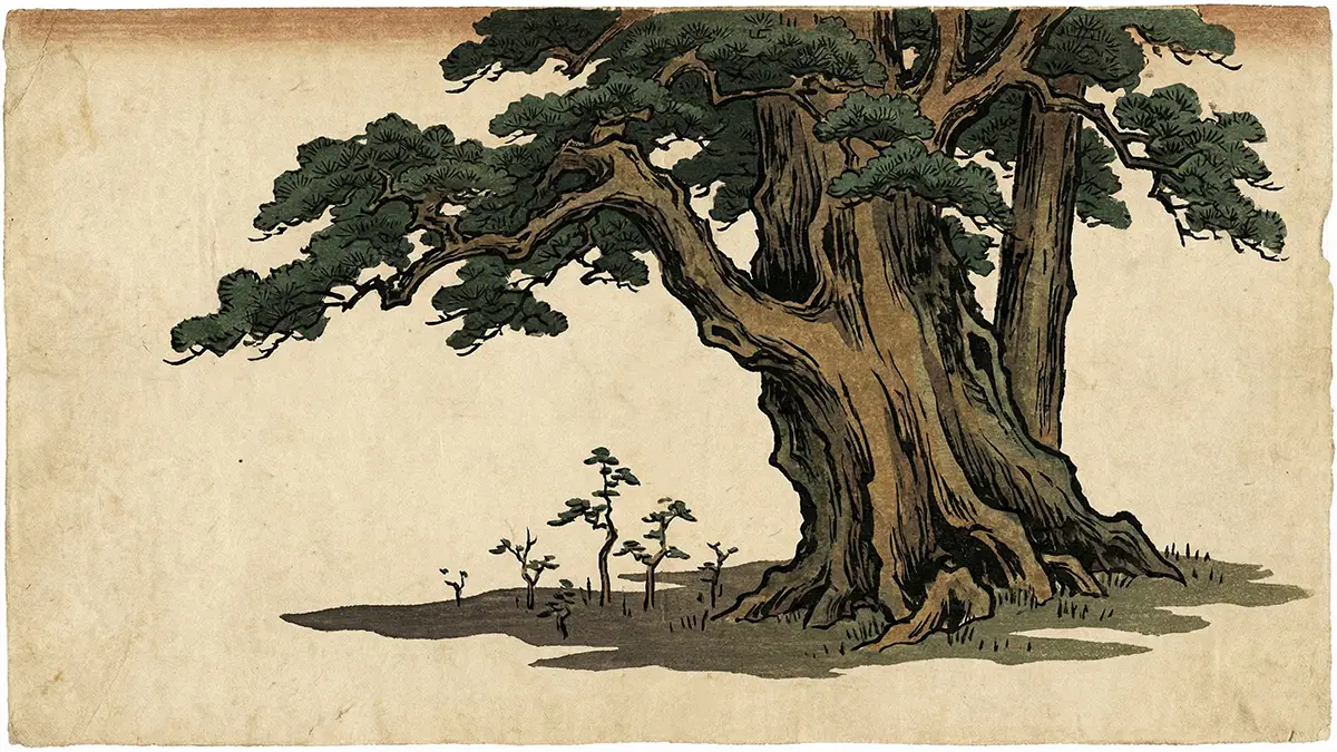 大木の下に小木育たず