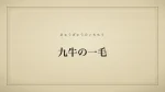 九牛の一毛