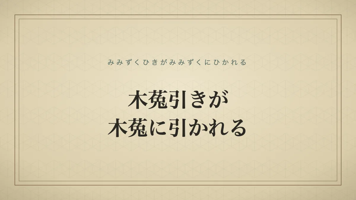 木菟引きが木菟に引かれる