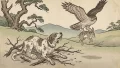 犬骨折って鷹の餌食