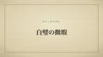 白璧の微瑕
