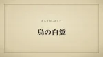 烏の白糞