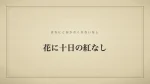 花に十日の紅なし