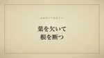 葉を欠いて根を断つ