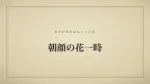 朝顔の花一時