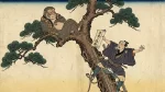 猿に木登り