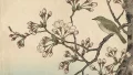 桜始開