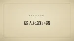 盗人に追い銭