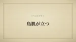 鳥肌が立つ