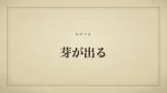 芽が出る