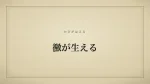 黴が生える