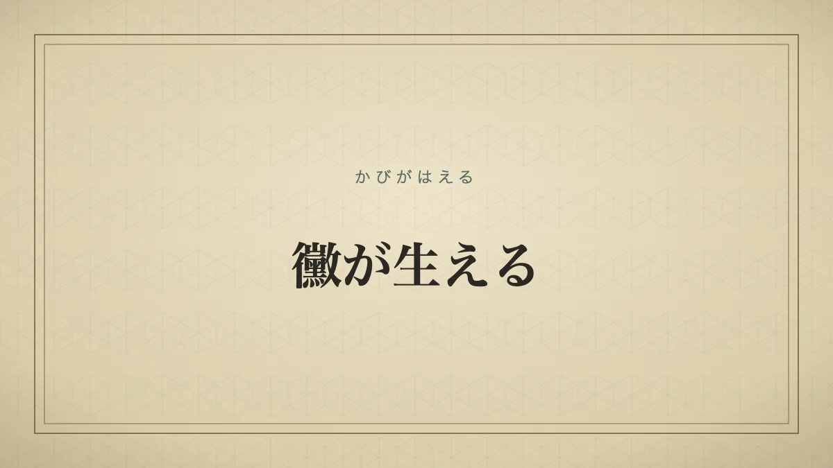 黴が生える