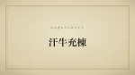 汗牛充棟