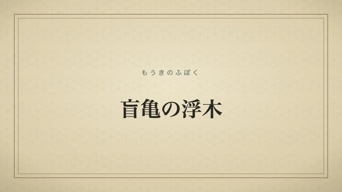 盲亀の浮木