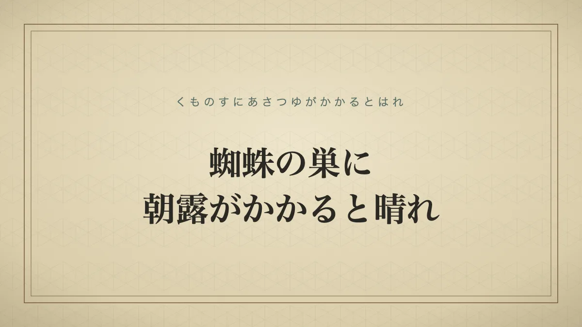蜘蛛の巣に朝露がかかると晴れ