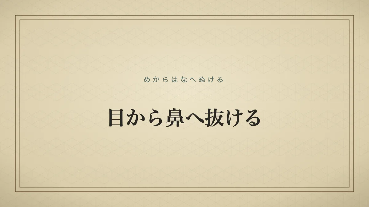目から鼻へ抜ける