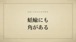 蛞蝓にも角がある