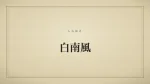 白南風
