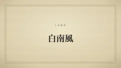 白南風