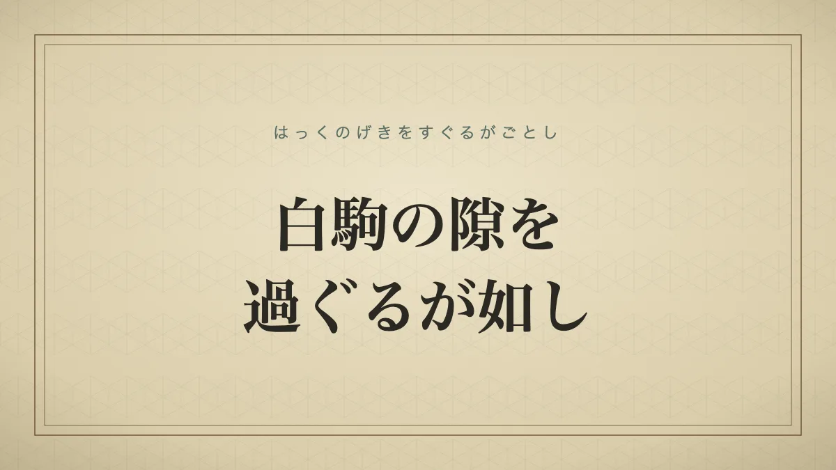 白駒の隙を過ぐるが如し