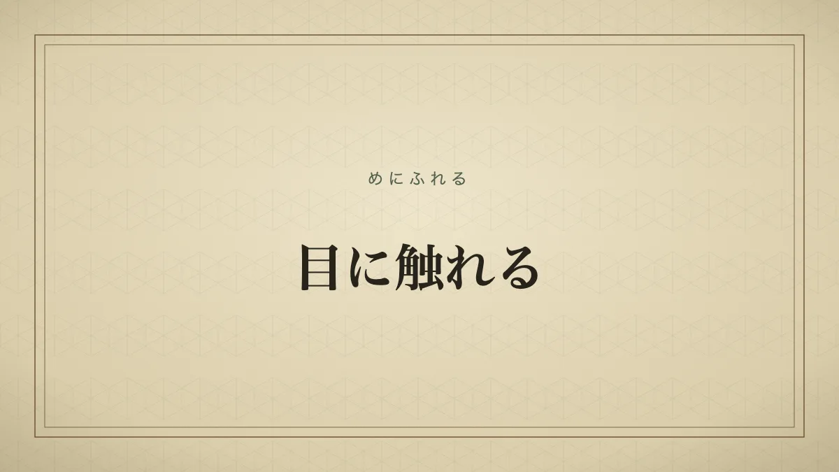 目に触れる