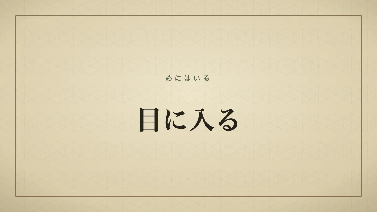 目に入る